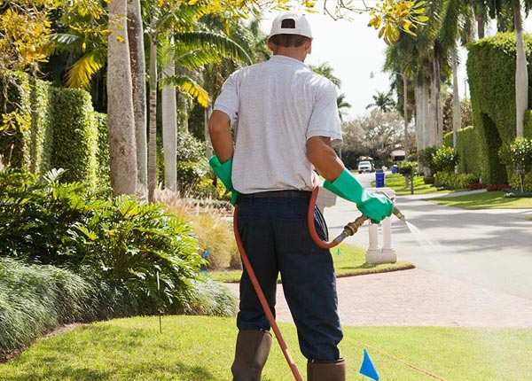 About Turnerville GA Pest Control Pros